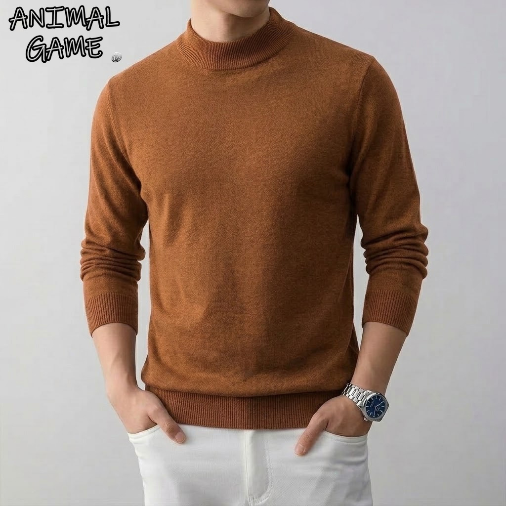 Turtleneck Sweater Men - Pull-over en maille à col roulé